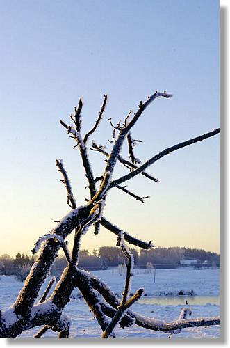 2007-01-29