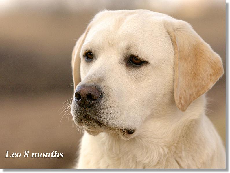 2008.04.17