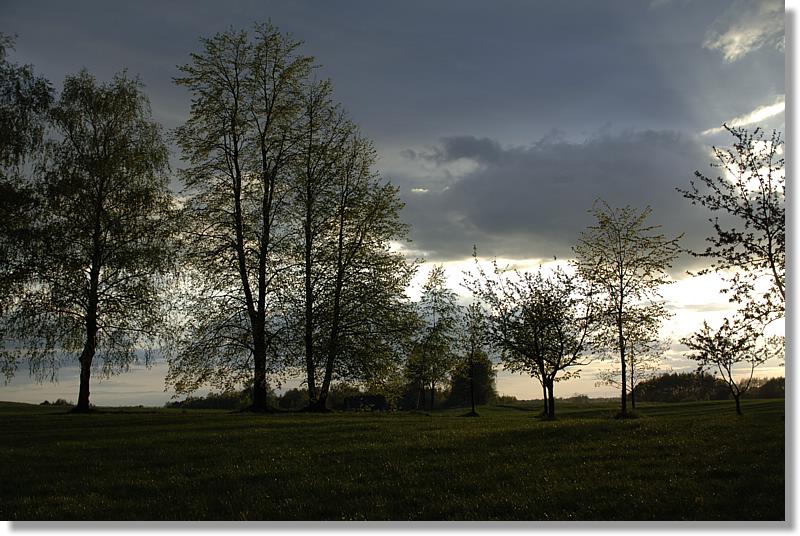 2008.05.08