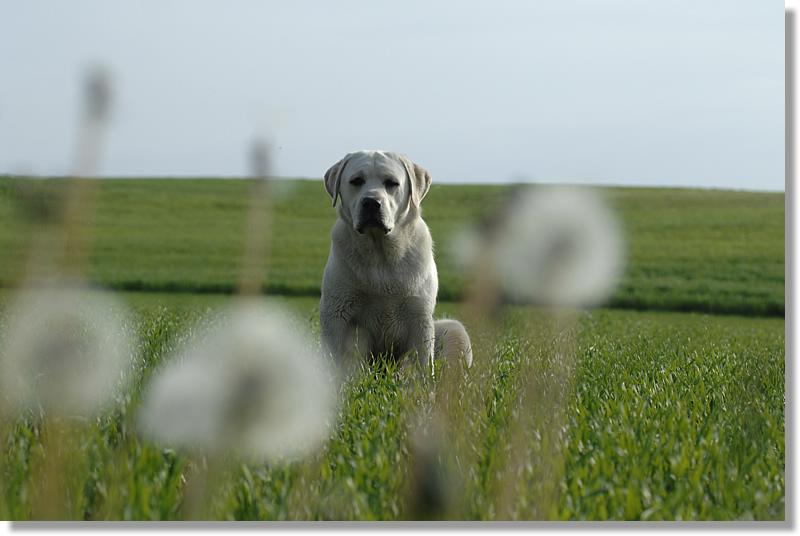 2008.05.26