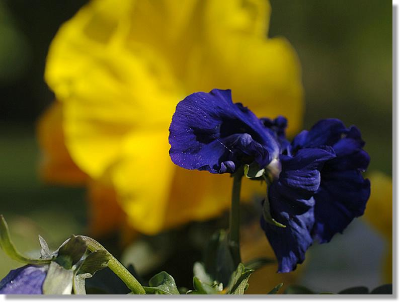 2008.05.11