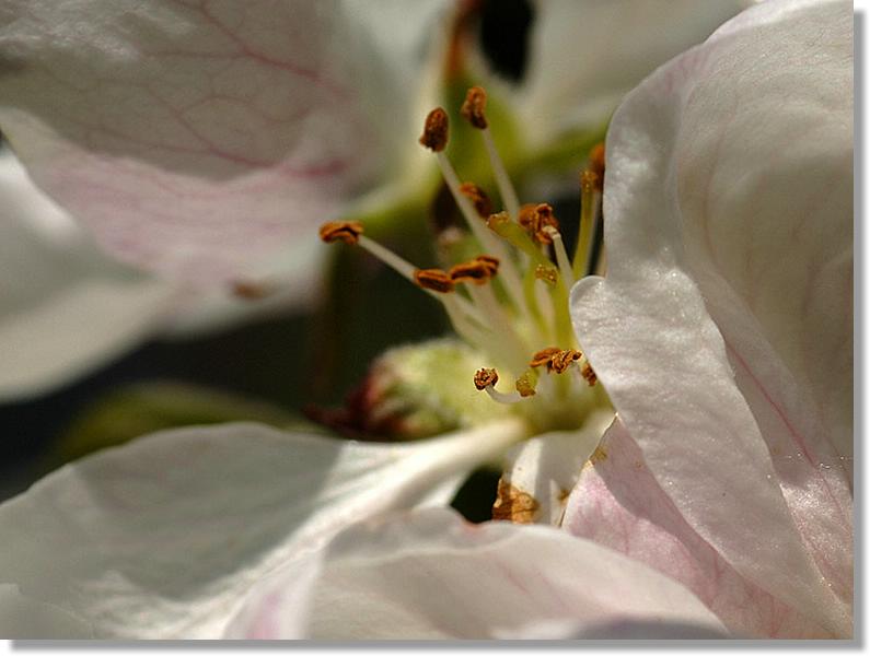 2008.05.14