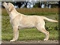 DSC042500.jpg