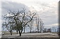 DSC_18291.jpg