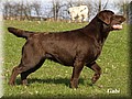 DSC_3001500.jpg
