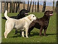 DSC_3117800.jpg