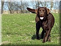 DSC_3146500.jpg