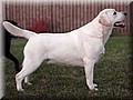 DSC_342888.jpg