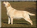 DSC_3446555.jpg