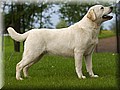 DSC_3922888.jpg
