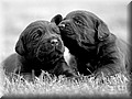 _DSC012555.jpg