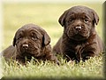 _DSC013111w.jpg