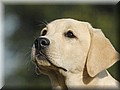 _DSC0245800.jpg