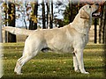 _DSC1907555.JPG