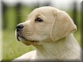_DSC300000.jpg