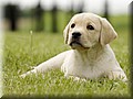_DSC30066666.jpg