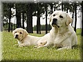 _DSC304000.jpg