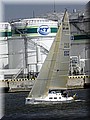 _DSC343000.jpg