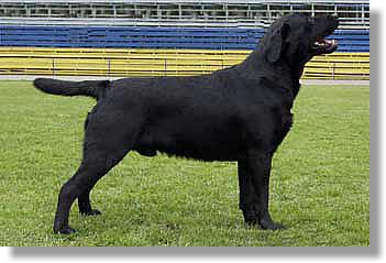 2004-06-01