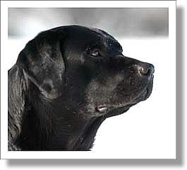 2006-03-27