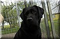 DSC_0170.JPG