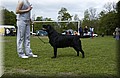 DSC_0737.JPG