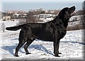 DSC_1324444.jpg