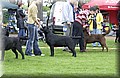 DSC_1977.JPG