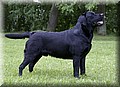 DSC_2540w.jpg