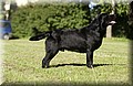 DSC_3011.JPG