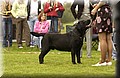 DSC_4012.JPG