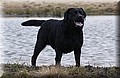 DSC_4325.JPG