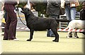 DSC_4932.JPG