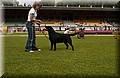 DSC_5245.JPG