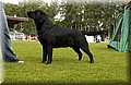 DSC_5271.JPG