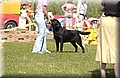 DSC_6157.JPG