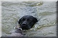 DSC_6313.JPG