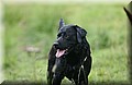 DSC_6327.JPG