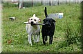 DSC_6333.JPG