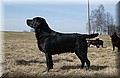 DSC_6379.JPG