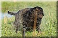 DSC_6497.JPG