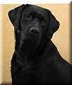 IMG_00188888.jpg