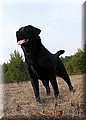 IMG_004888888.jpg