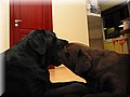 IMG_01633333.jpg