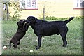 IMG_05844444444.jpg