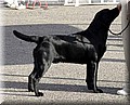IMG_110444.jpg
