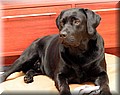 IMG_13366666.jpg