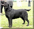 IMG_1502222.jpg