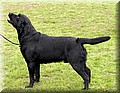 IMG_15166666.jpg