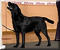 IMG_2058888.jpg